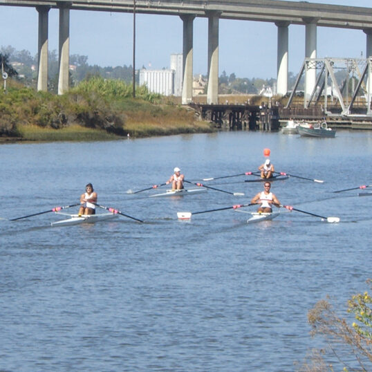sculling